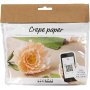 Mini DIY Kit Crepe Paper - Pioni