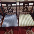 Asiakaskuva Tanja - Br�nn� - Navy - 140 cm