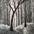 Asiakaskuva Marten-hiusharja Georgian 278 Skyflow - nro 3