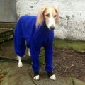 Asiakaskuva Fleece-nukkaamaton Royal blue - 150 cm