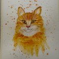 Asiakaskuva Canson XL Aquarelle 300g - A4