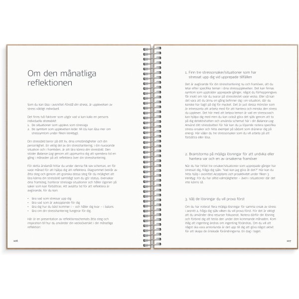 Tasapainoloki Tasapainoloki