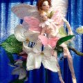 Asiakaskuva Pehmopaperi 50 cm x 5 m - valkoinen 22 g / m�