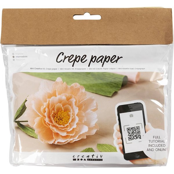 Mini DIY Kit Crepe Paper - Pioni