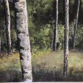 Asiakaskuva Akryylilevy, jatko-opintoihin, 300 g, 20 arkkia - A3