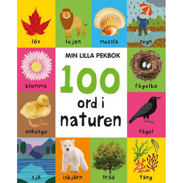 Pieni muistivihkoni: 100 sanaa luonnossa