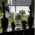 Asiakaskuva Koristeh�yhen 50-100 mm - vanilja 10 g ~ 110 kpl