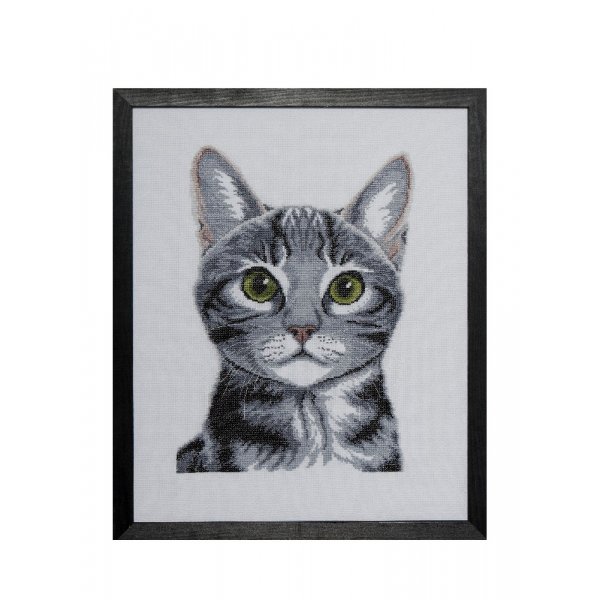 Kirjontasarja Canvas - Cat